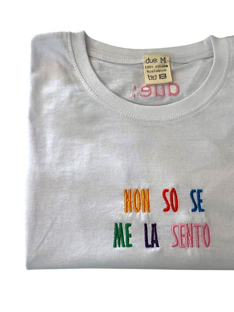 NON SO SE ME LA SENTO